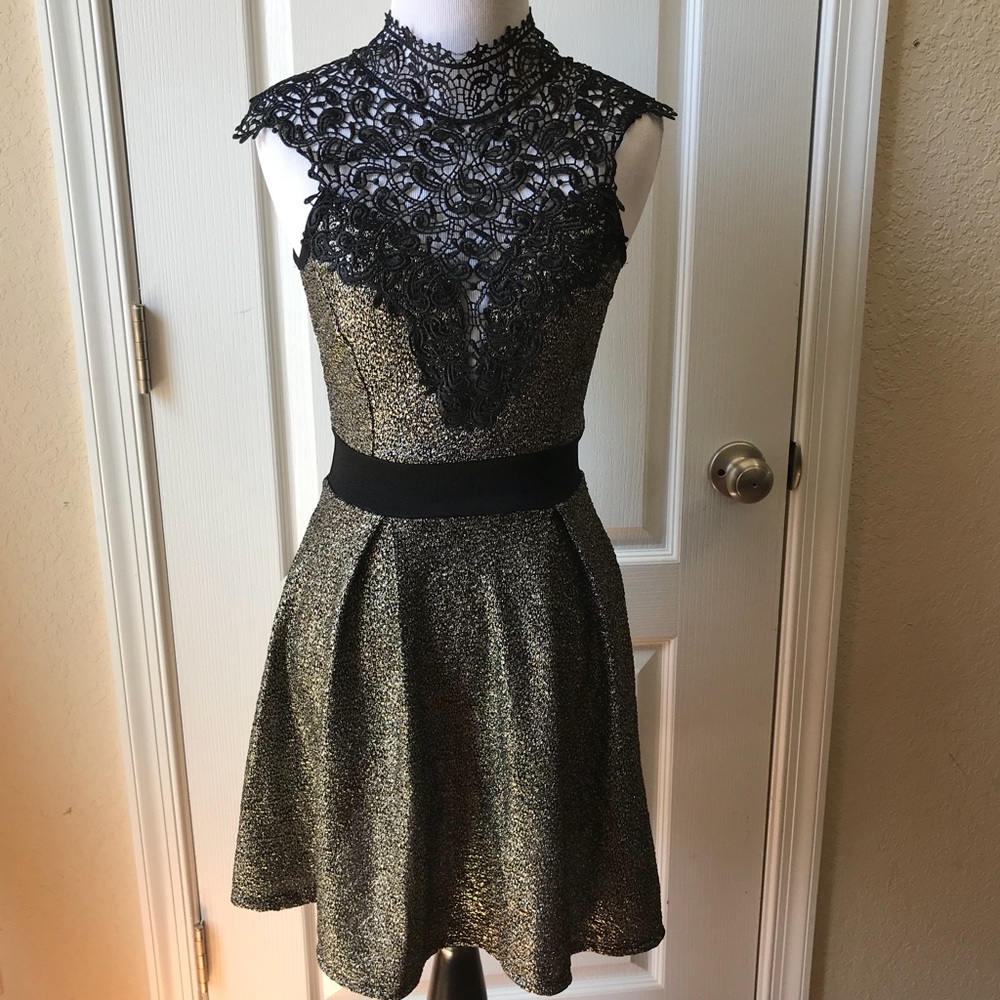 Privy Metallic Dress